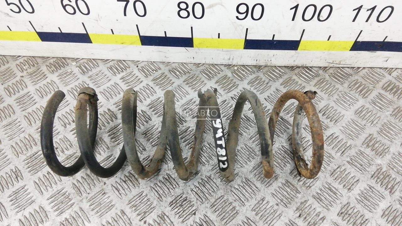 Пружина задняя