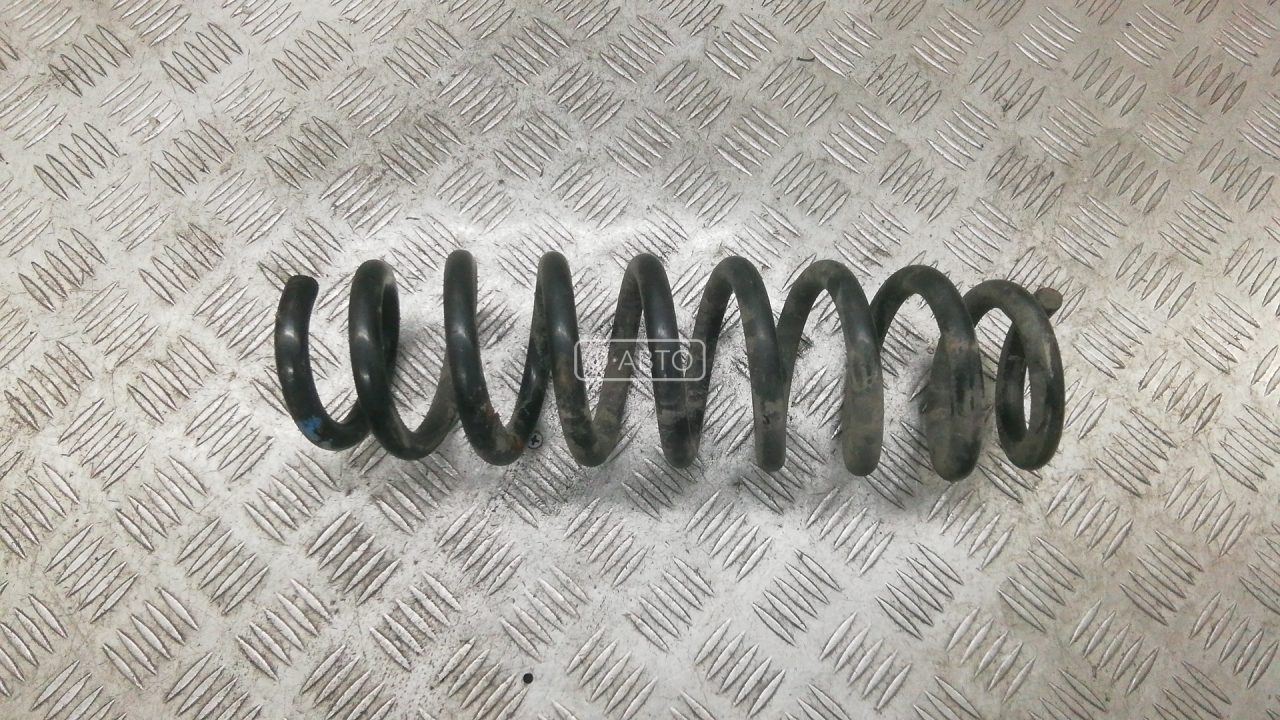 Пружина задняя