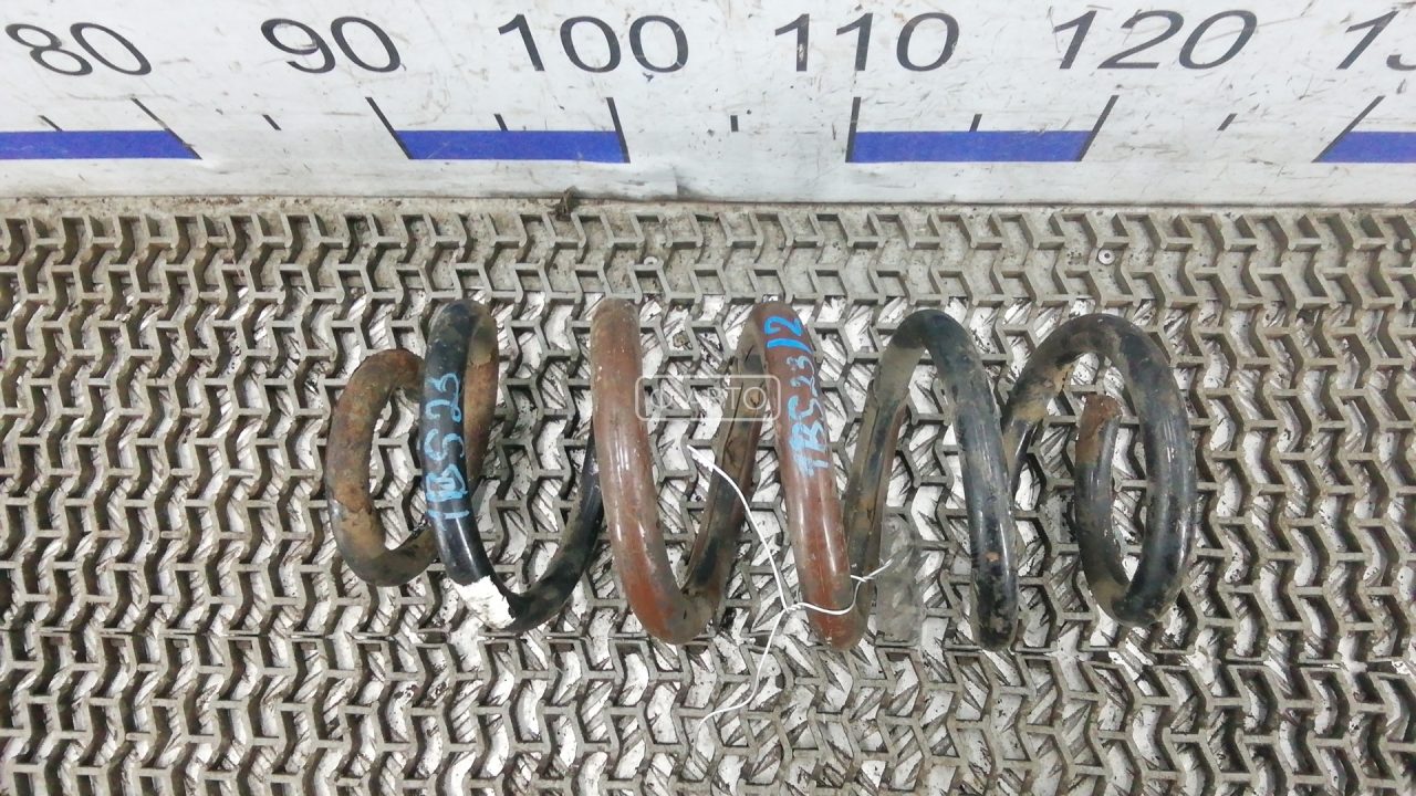 Пружина задняя