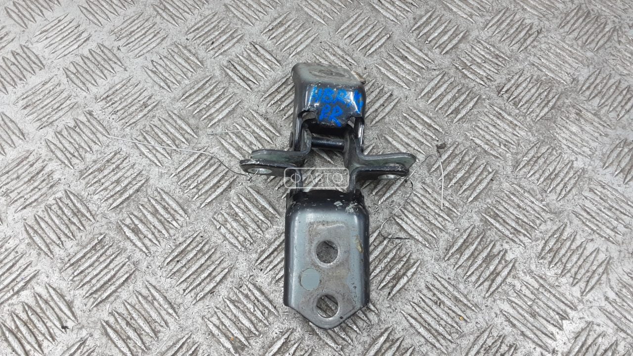 Петля передняя правая