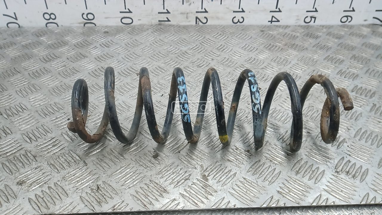 Пружина задняя