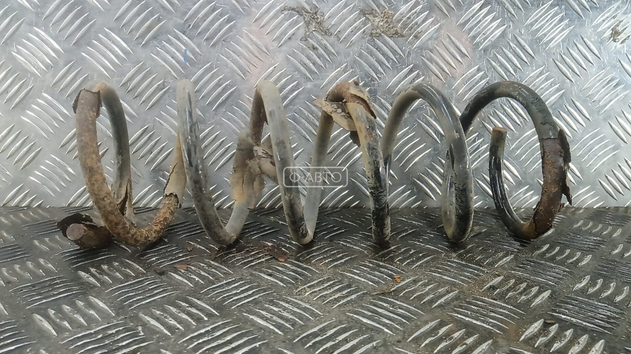 Пружина задняя