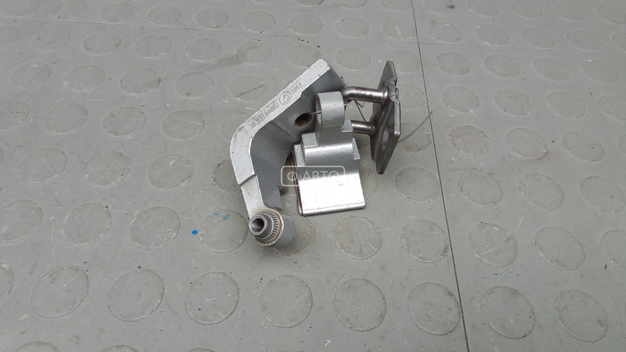 Петля двери задней правой