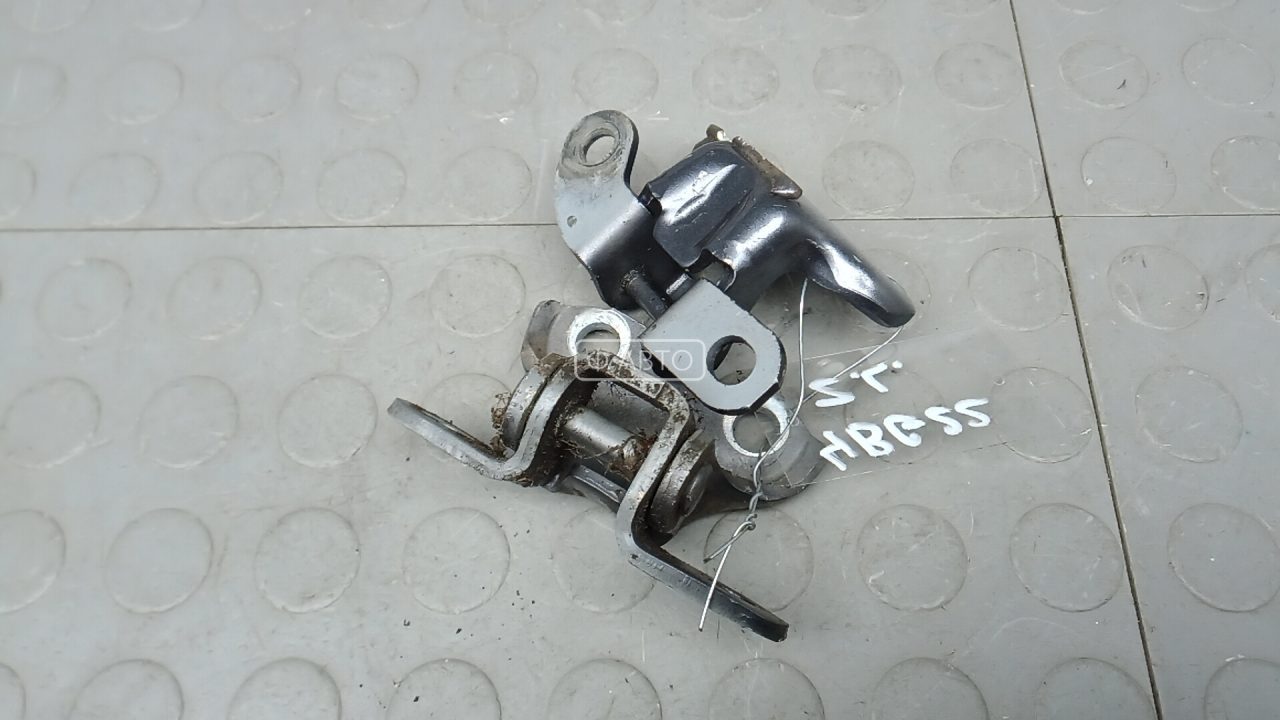 Петля двери задней левой