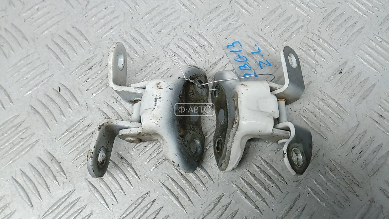 Петля двери задней левой