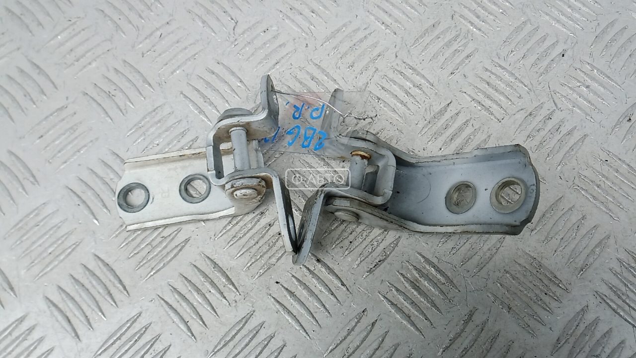 Петля передняя правая