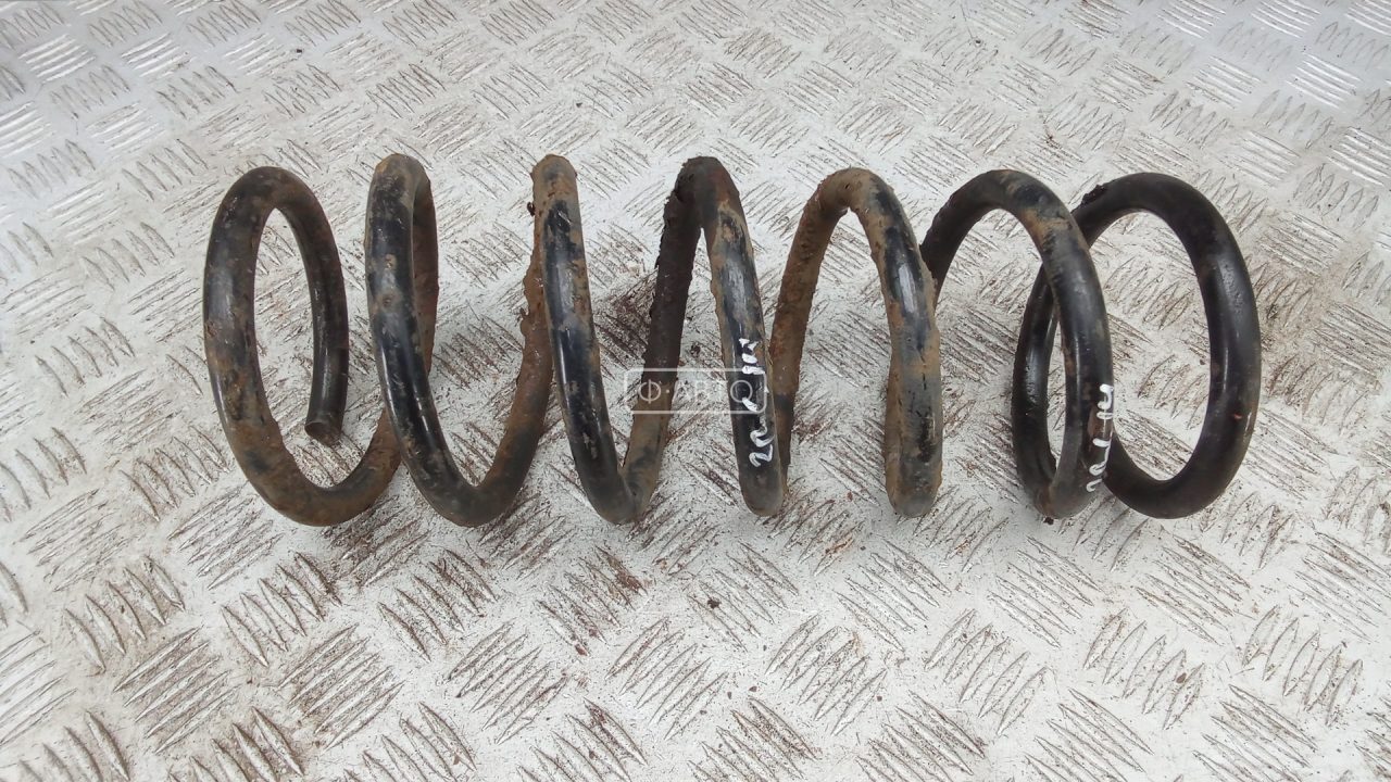Пружина задняя