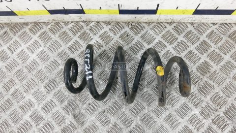 Пружина задняя