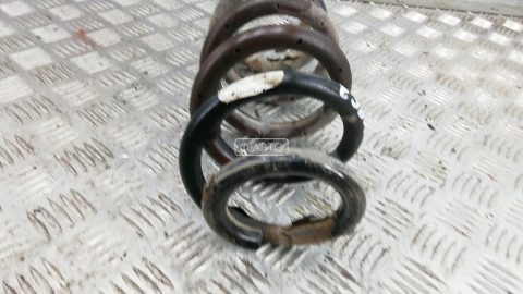 Пружина задняя