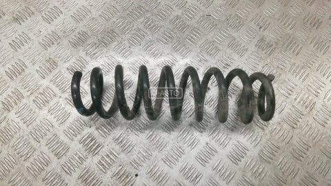 Пружина задняя