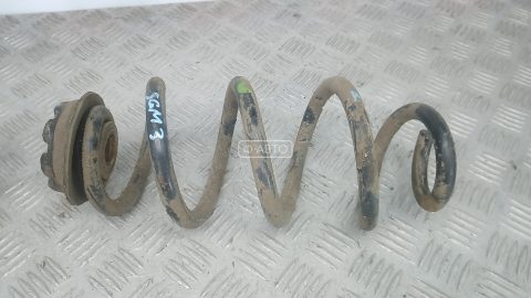 Пружина задняя