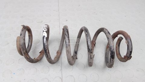 Пружина задняя