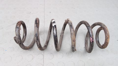 Пружина задняя