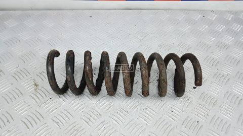 Пружина задняя