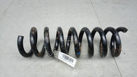 Пружина задняя