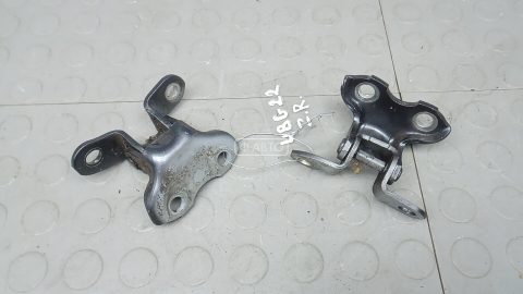 Петля двери задней правой